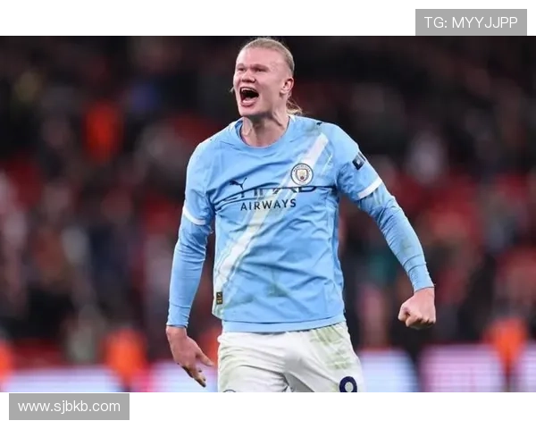 哈兰德索博赛后通道交流引热议